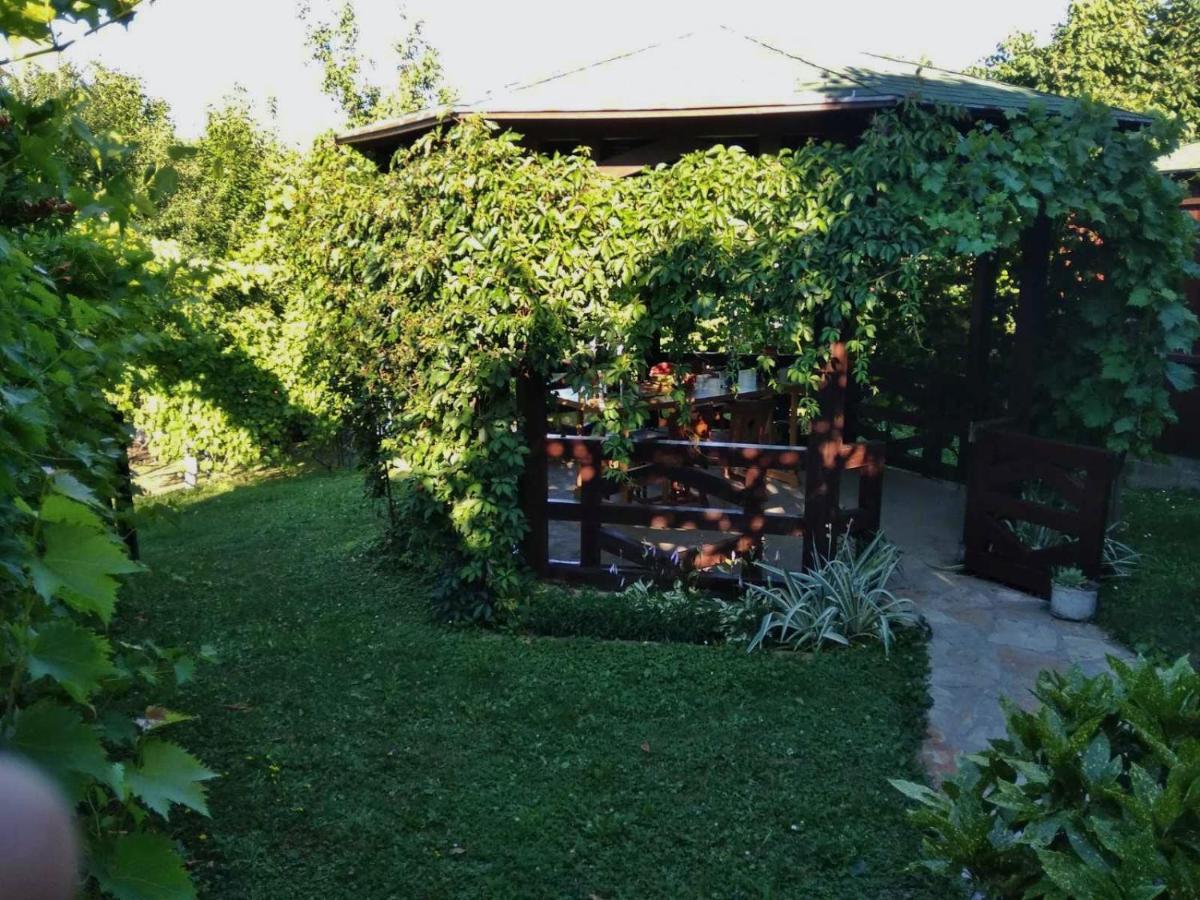 Apartmani Zapis Врднік Екстер'єр фото