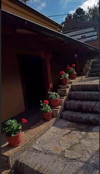 Apartmani Zapis Врднік Екстер'єр фото